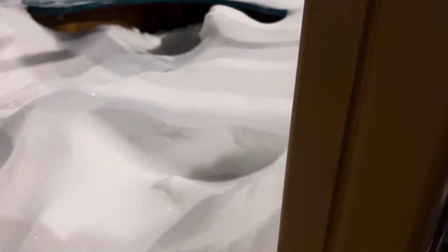 Мир Денди в реальной жизни 2!