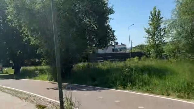 Лесное Одиночество: Только Природа и Я смотреть онлайн