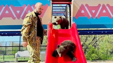 УНИКАЛЬНО! Мишки Топа и Кнопа пришли на новую горку и сразу же ее исследовали! смотреть онлайн