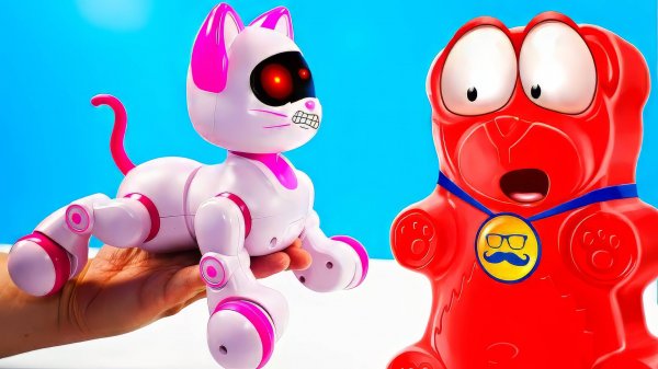 8 ДУРАЦКИХ КОТО АНТИСТРЕССОВ ДЛЯ МЕДВЕДЯ ВАЛЕРЫ