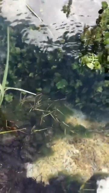 Самые красивые места мира смотреть онлайн