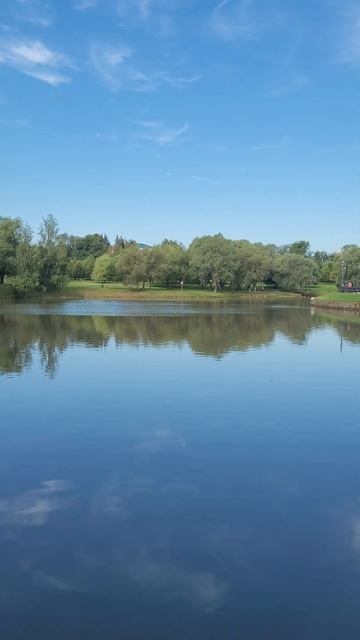 Музей-заповедник «Царицыно» #shorts смотреть онлайн