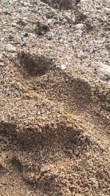 Необычный песок на пляже Бали смотреть онлайн