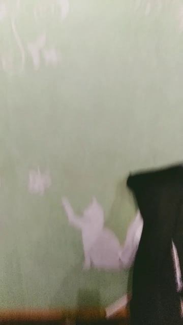 это обои класс