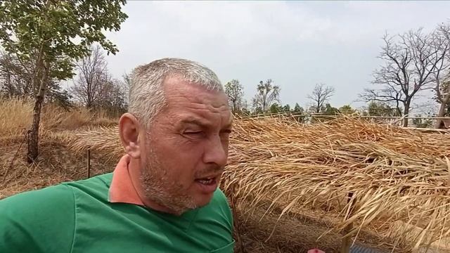 Срочно бегите из городов⚡кризис накроет всех смотреть онлайн
