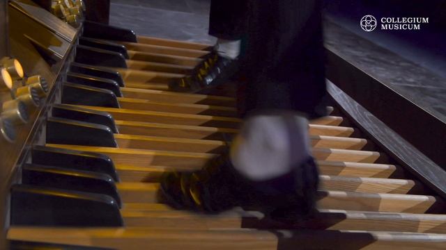 Фрагмент концерта «Виртуозная педаль». Джордж Талбен-Болл — Вариации на тему Паганини для педали