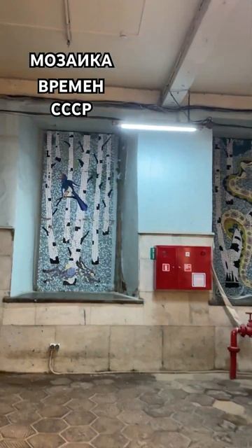 Вся фабрика в такой мозаике 😍#shotrs #город #shortvideo #путеш? смотреть онлайн
