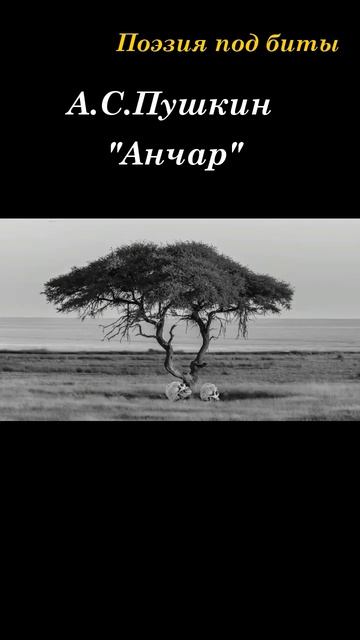 Поэзия под биты А.С. Пушкин 