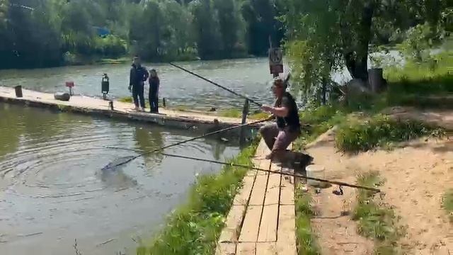 Александр в деле смотреть онлайн