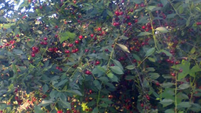 уголок россии памяти друга смотреть онлайн