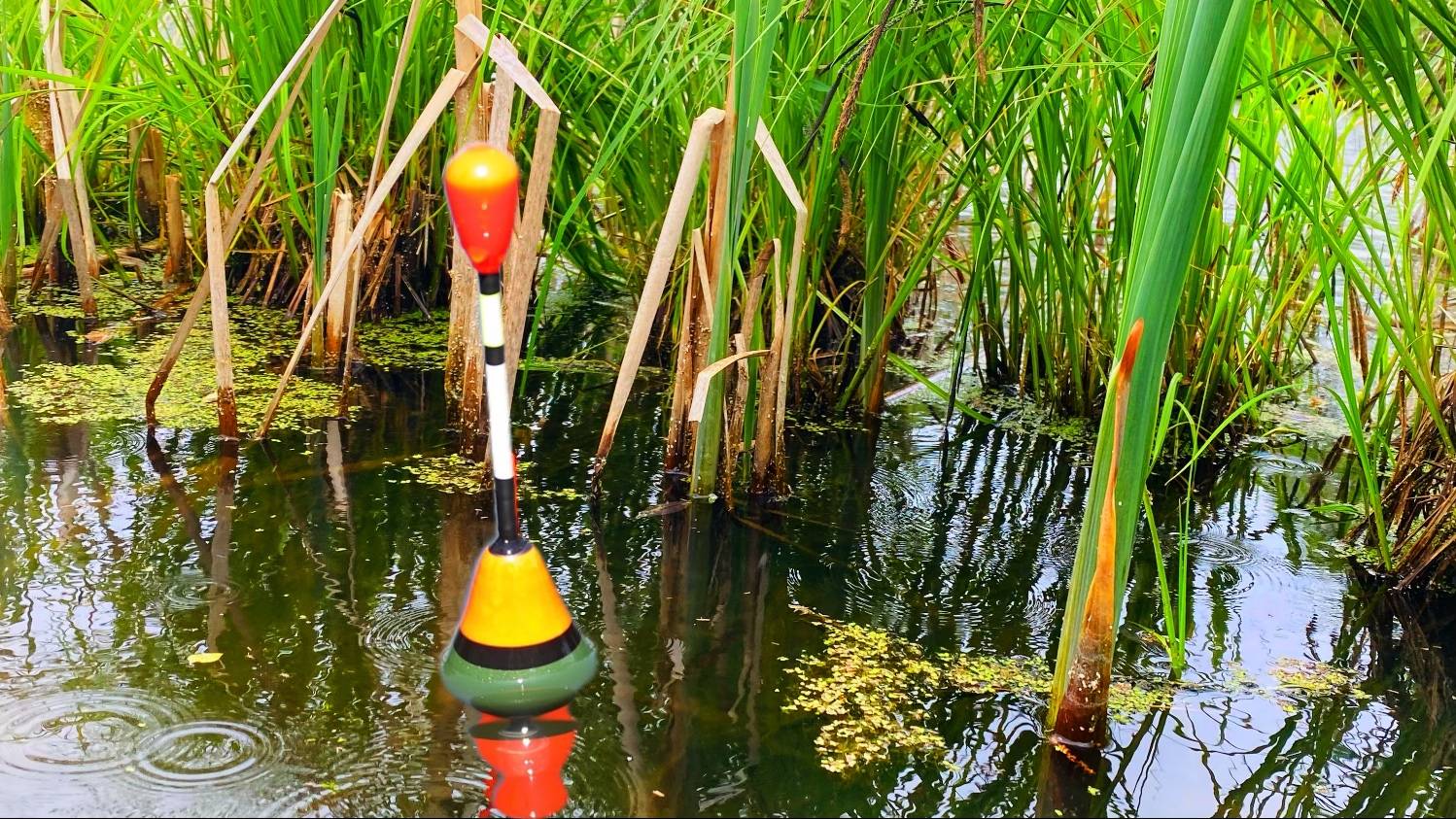 Рыбалка как в Детстве на Поплавок Ловля карася на поплавочную удочку смотреть онлайн