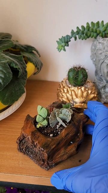 Горшки из бетона смотреть онлайн