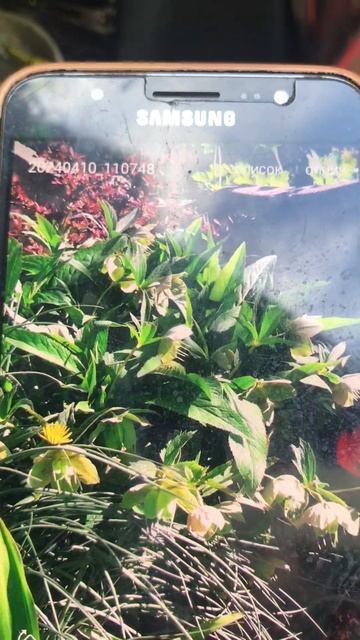 МИЛЫЙ УГОЛОК смотреть онлайн