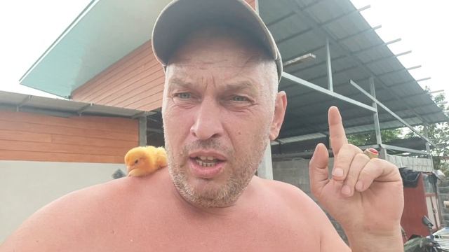 Бизнес с нуля в Таиланде⚡Могут заниматься все смотреть онлайн