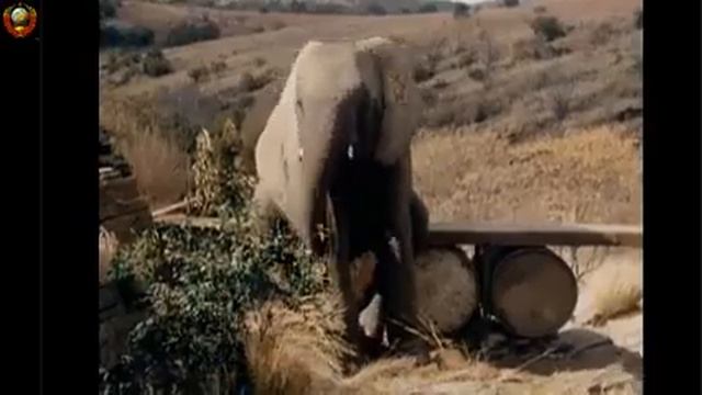 супер смотреть онлайн