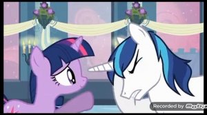 Свадьба Шайнинг Армора и принцессы Каденс