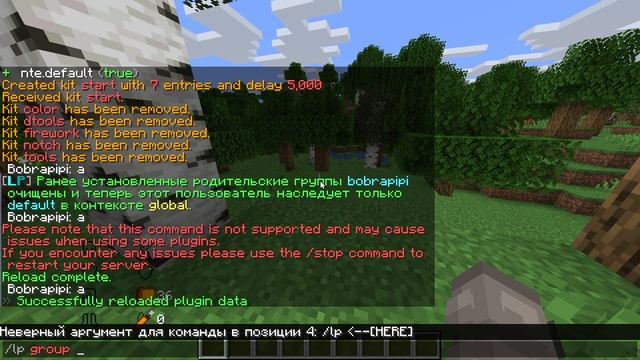 Как Сделать Донат и Префикс в Табе и Чате смотреть онлайн