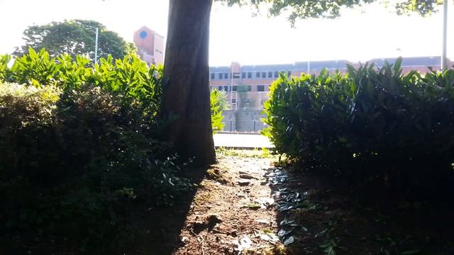 Лето 2019 фото смотреть онлайн