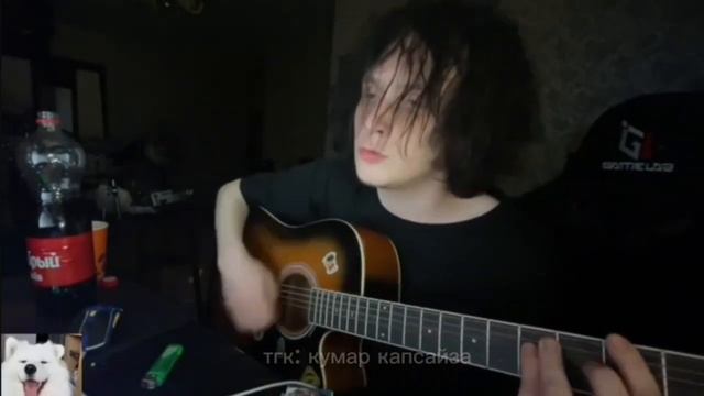 CUPSIZE - я люблю котят