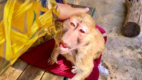 Манечку прям НЕ УЗНАТЬ, она доверяет и тянется не только к маме, но и ко всем на смотреть онлайн