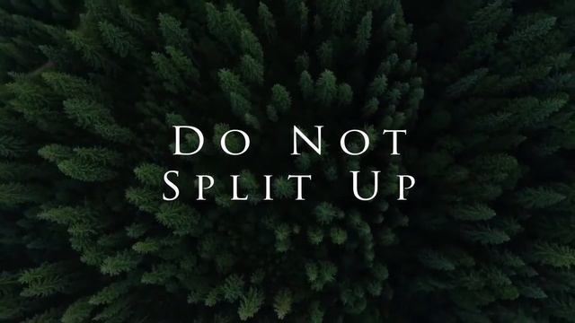 В лесу/In the Forest (2022) Трейлер/Treiler смотреть онлайн