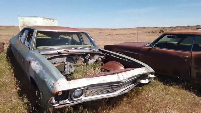 Видео из архива (29.07.2020). Мега свалка автомобилей в Америке! Алекс Брежнев все покажет123