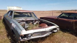 Видео из архива (29.07.2020). Мега свалка автомобилей в Америке! Алекс Брежнев все покажет123