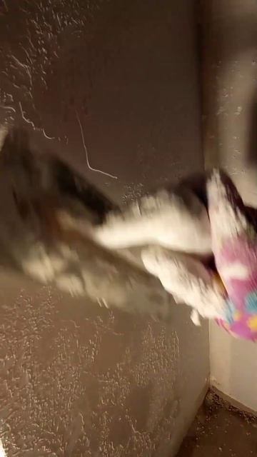 Карта мира смотреть онлайн