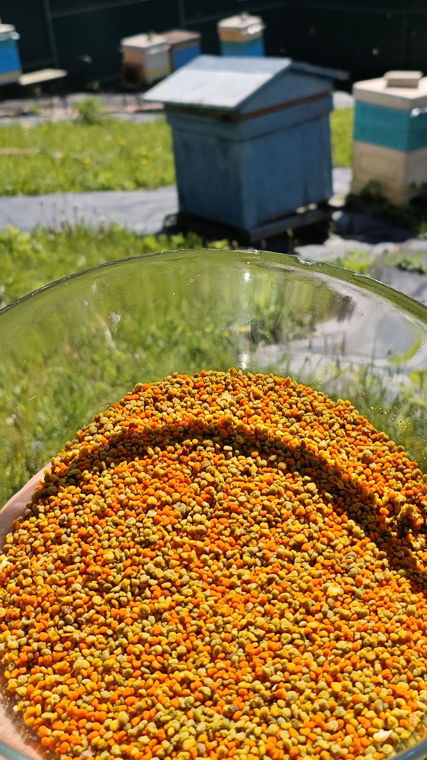 Пасека ожила! 2025 #мотопчел смотреть онлайн