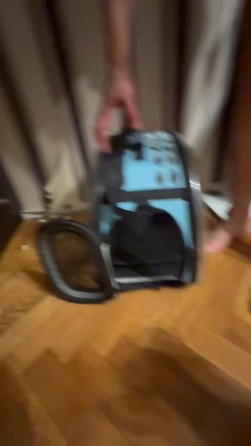 Бандиту явно не нравятся эти обои🐕🫣🤣😎👻🦴🎥 смотреть онлайн