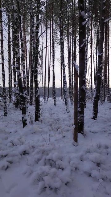 Зимняя сказка смотреть онлайн