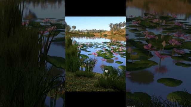 Розыгрыши!!! голд наживка!! Играю в Русскую Рыбалку 4!!Ло смотреть онлайн