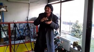 Боги Египта 2