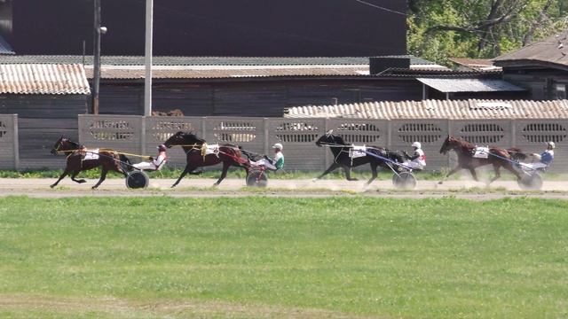 17.05.2025г.Абаканский Ипподром лошади рысистой породы старшего возраста  1600м