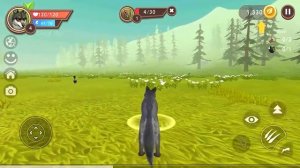 КАК КУПИТЬ WILD CLUB в РОССИИ / КАК ЗАДОНАТИТЬ в ВИЛД КРАФТ