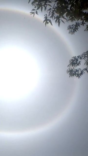 rutube.ru