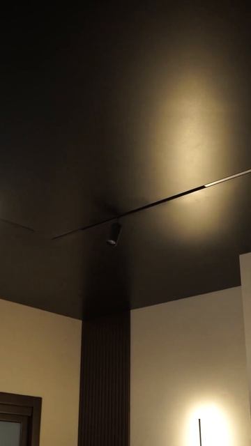 Черный потолок в интерьере смотреть онлайн