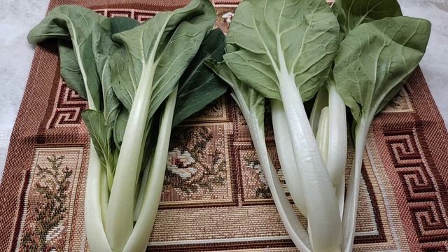 Первый урожай капусты пак чой смотреть онлайн