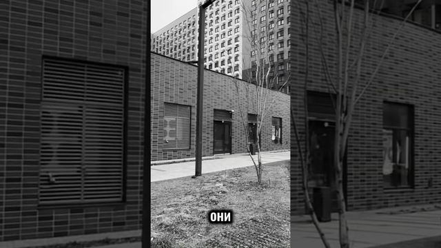 Топ-помещения в новых кварталах: угол, стилобат, остан? смотреть онлайн