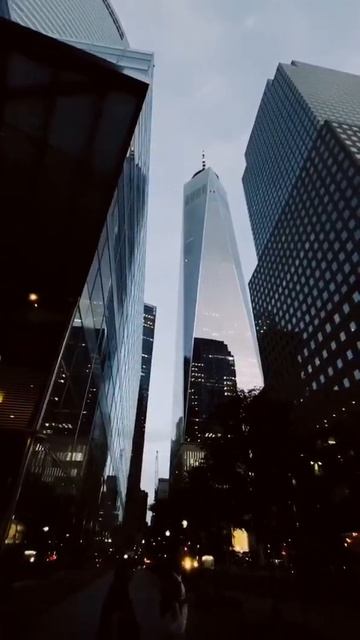 обои на телефон смотреть онлайн