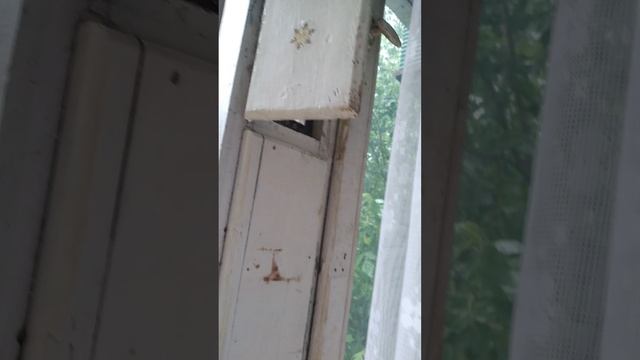 ВЫМАЛА ПОЛ ОКНА смотреть онлайн