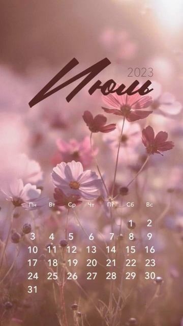 Красивые обои на телефон смотреть онлайн