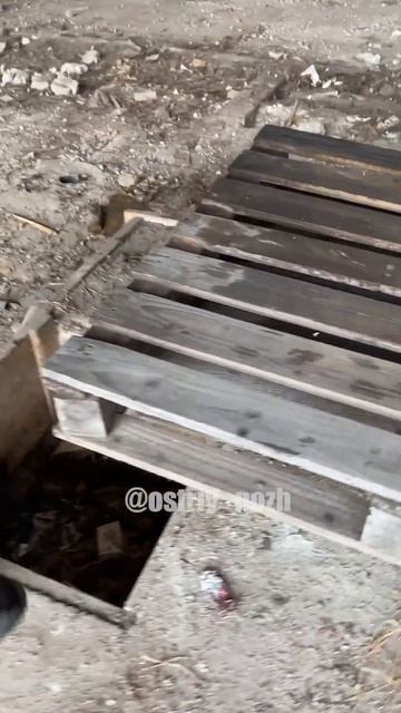 РАЗРУБИЛИ ЭИР ПОДСЫ, ЛУЧШИЙ ТОПОР #knife #нож #shorts смотреть онлайн