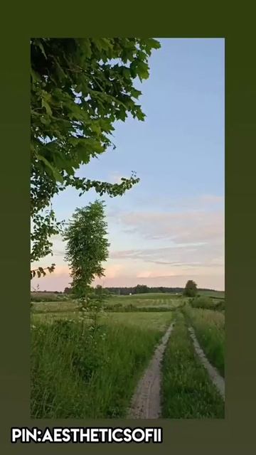 летние обои для тебя🥰 смотреть онлайн