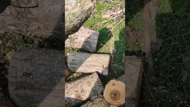 цепная пила аккумуляторная смотреть онлайн