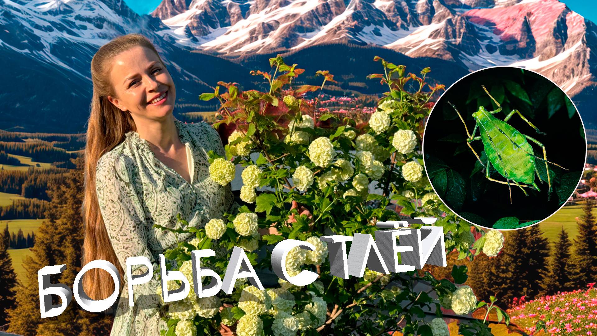 Как и чем бороться с тлей? 🔝