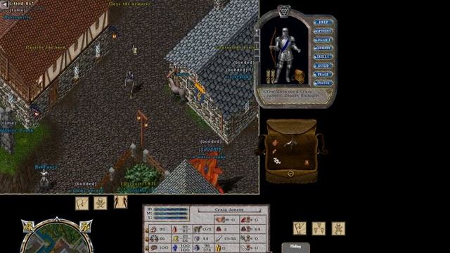 Ultima Online Outlands Гайд С чего начать ? смотреть онлайн