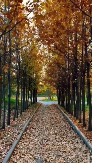 Стих про осень 🍁