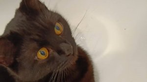 ЖАРА. ЛЮБИМОЕ МЕСТО ОТДЫХА ДЖЕННИ.