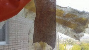 отмыть окна от скотча малярного (в описании важная час